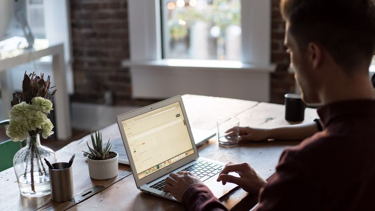 Person working on a laptop at a desk, reviewing figures with a coffee and plant nearby